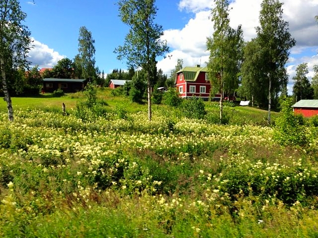 schwedische Landschaft